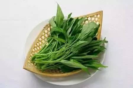 每日最新辟谣科普一网打尽,每日要闻速报视频