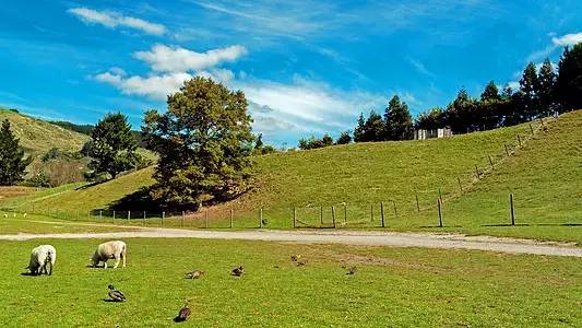 浦城一套房子要多少钱,浦城首付20万的房子