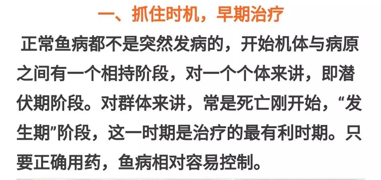 鱼病快速诊断与防病技术,鱼病的正确诊断图解