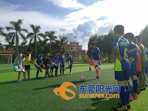 谢岗羽毛球训练营培训班,谢岗儿童兴趣培训