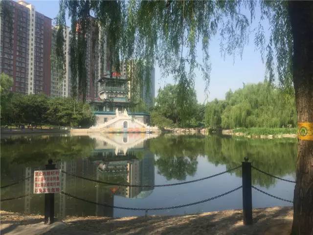 关于园区灭虫通知,昌平灭虫