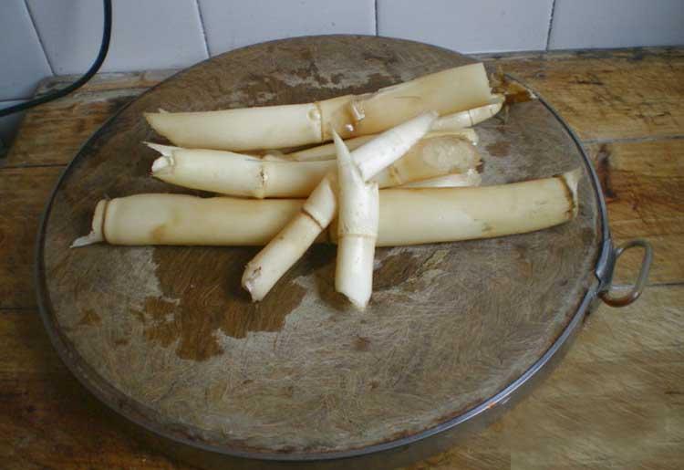 咳吐黄痰、嗓子疼、身体燥热、鼻子出血这些基本都是肺热的症状，芦根清胃饮就是针对此类病症的