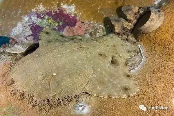 从入门级到朝圣级，船宿该怎么选？