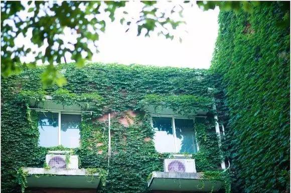 三江学院，小三本的奋斗传奇