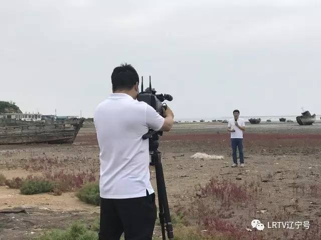 辽宁营口北海风景区,营口北海风景区之旅感受与收获