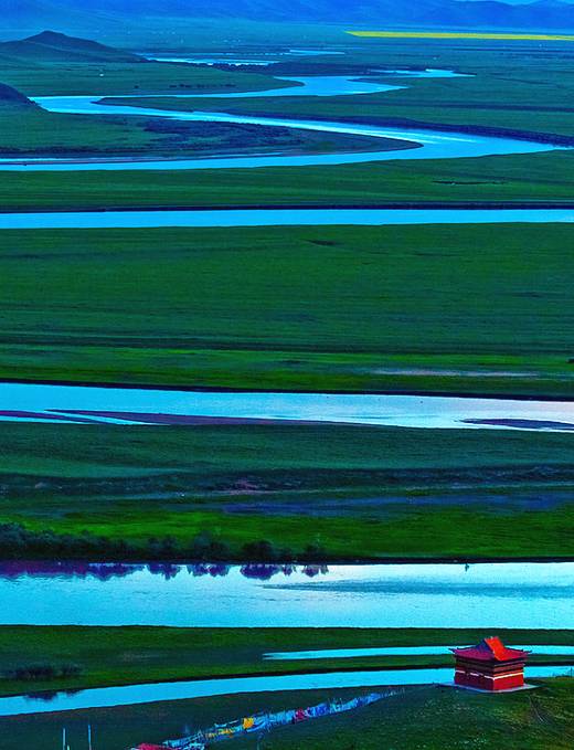 对不起，我去草原了，别再找我了……