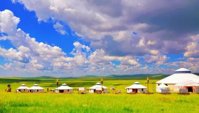 对不起，我去草原了，别再找我了……