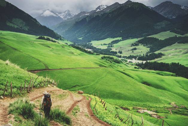 对不起，我去草原了，别再找我了……