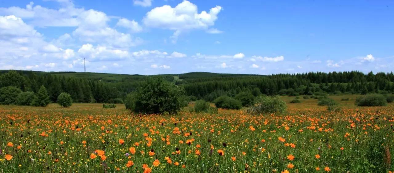 英国小哥到中国旅游,英国小哥来到中国旅游