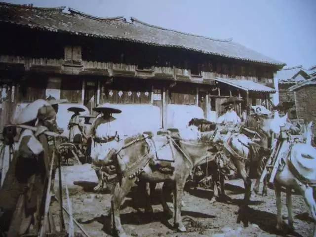 景迈山04｜远上茶山石径斜