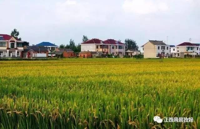 江西特色小镇,江西2021-2023特色小镇建设项目