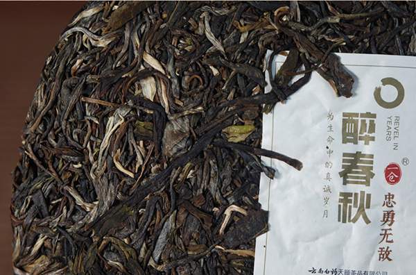 云南白药醉春秋普洱茶直播,云南醉春秋陈年普洱茶