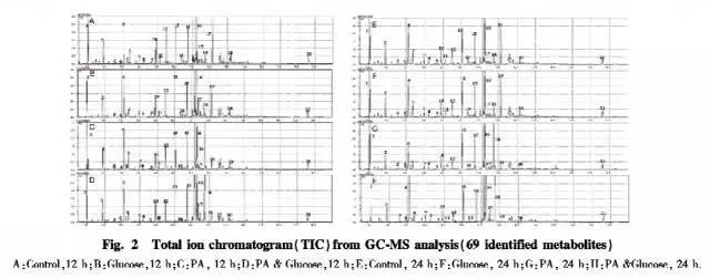 糖尿病肾病机制研究进展,糖尿病患者的代谢紊乱及其机制