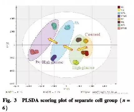 糖尿病肾病机制研究进展,糖尿病患者的代谢紊乱及其机制