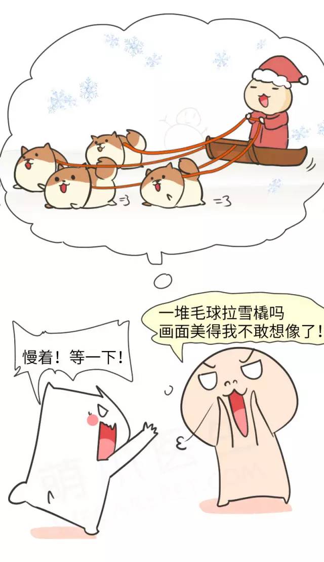 我家博美犬长得怎么样,博美犬8岁是老狗吗