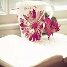 气垫bb种草,种草乳贴