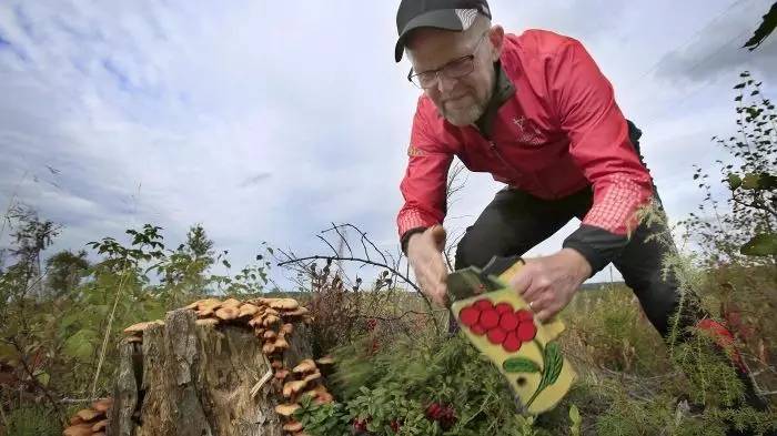 盘点外国人的奇葩比赛,盘点世界奇葩比赛