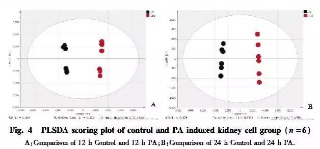 糖尿病肾病机制研究进展,糖尿病患者的代谢紊乱及其机制