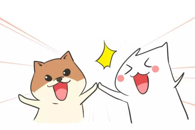 我家博美犬长得怎么样,博美犬8岁是老狗吗