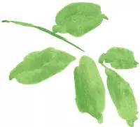 光明图刊,全民健身齐参与展示风采添活力