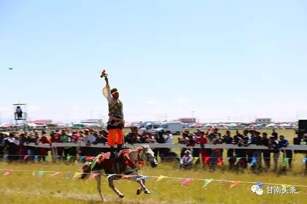 纵马扬鞭御风飞行丨九色甘南香巴拉·玛曲第十一届格萨尔赛马节隆重开幕
