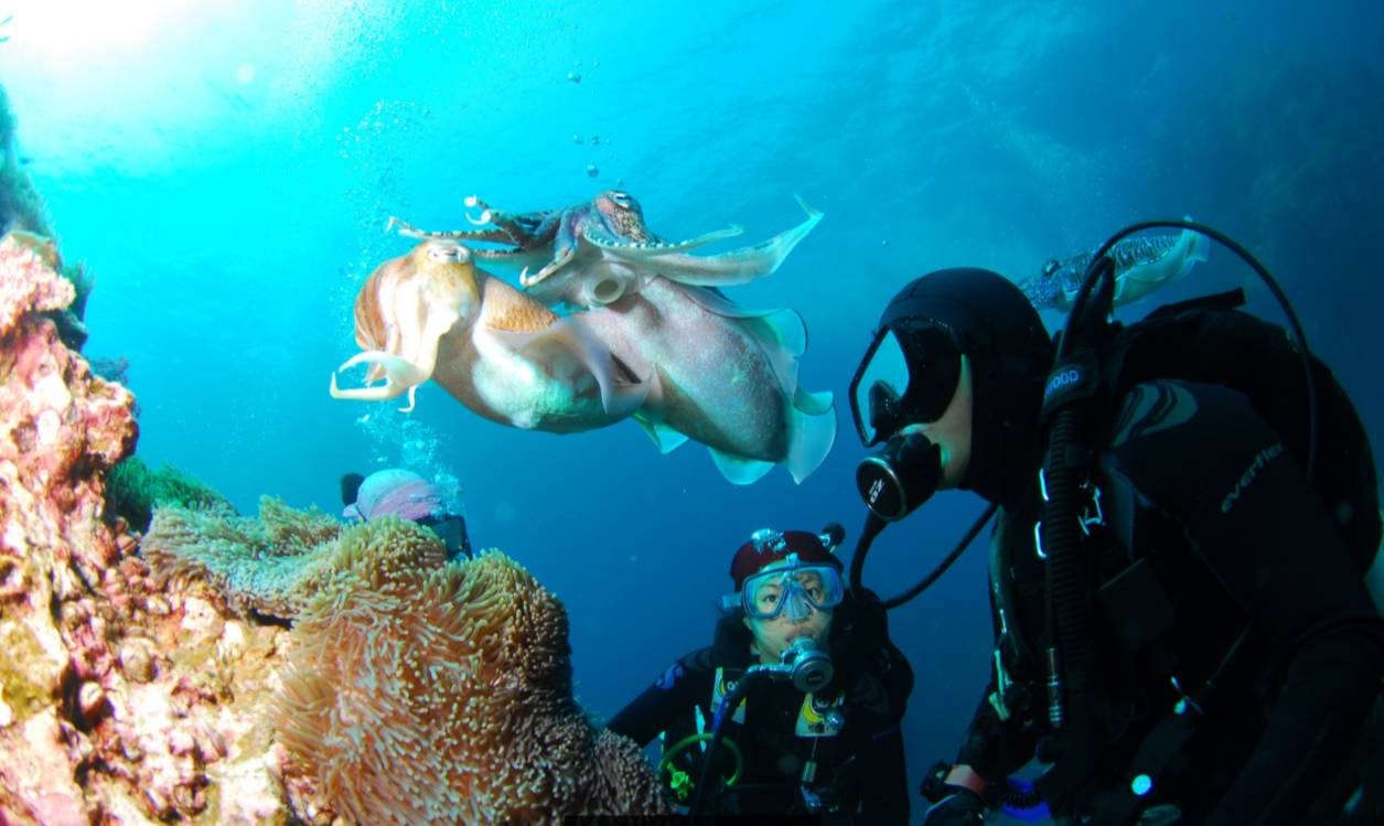 濡欏鐤楁剤,濡欏