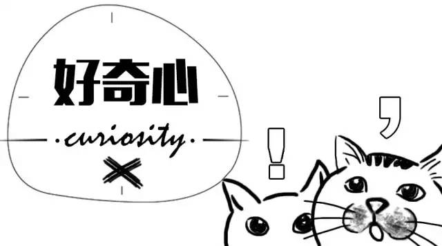 宝鸡到咸阳机场的大巴在哪里乘车,宝鸡新区到机场大巴时刻表