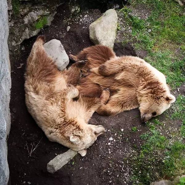 “贤者时间”是怎么回事？