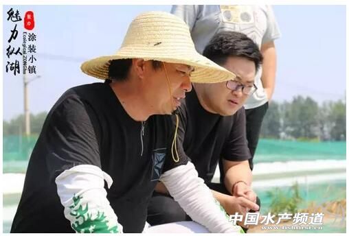 泥鳅养殖技术的最新视频,泥鳅养殖技术和视频