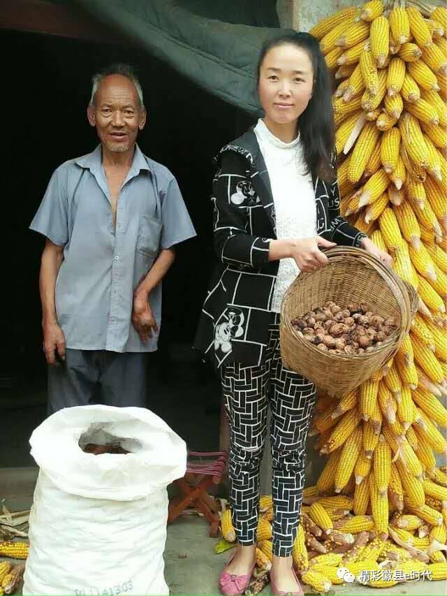 梁倩娟农村电商直播,梁倩娟谈电商政策