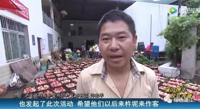 蒲江县认购泸定水蜜桃9万余斤 帮助果农度过难关