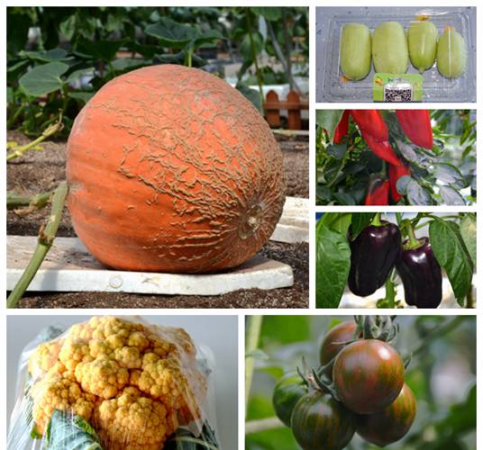 只有想不到没有做不到的干劲,妇女创业扶持项目