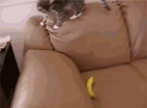 浑身都是痒痒肉很敏感怎么办,浑身都是痒痒肉怎么回事