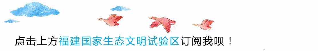 福建生态农业发展之路径,福建智慧生态循环农业选哪家