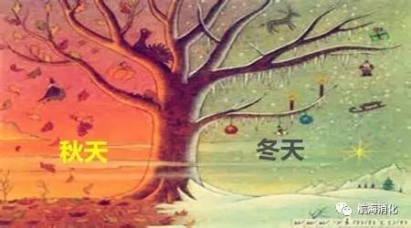 你的脾胃虚弱吗,你的肠胃健康吗