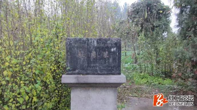 杜甫草堂故居是真实的吗,杜甫之墓真实照片