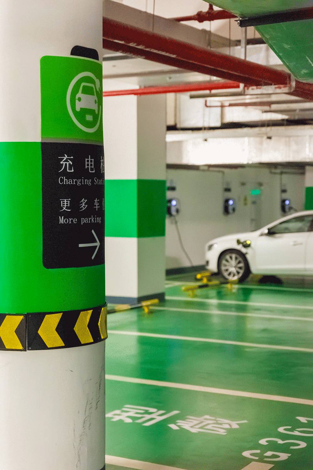 免费的午餐好吃吗,免费的午餐便宜吗