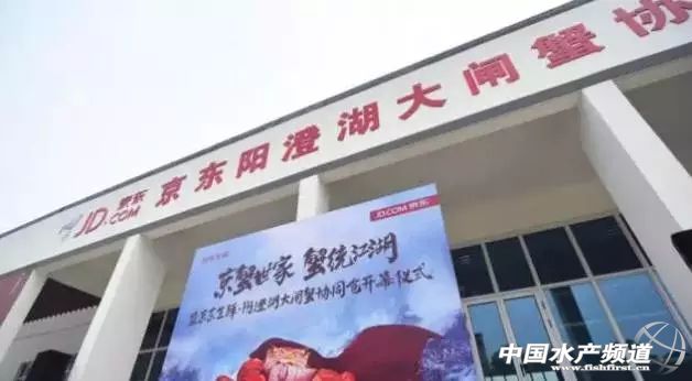 阳澄湖大闸蟹市场螃蟹价格,阳澄湖大闸蟹开捕时间2020价格