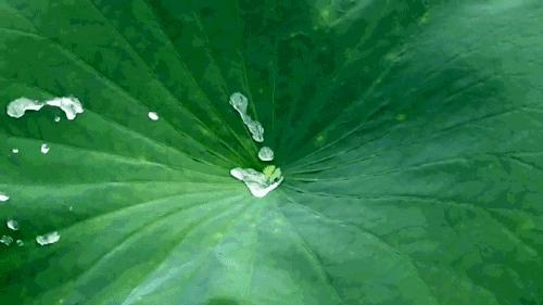 用完神仙水直接用防晒隔离可以吗,神仙水可以用来当防晒吗