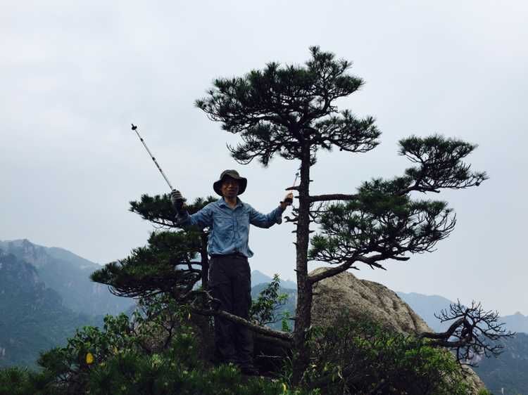 走近你就走进了痛苦出自哪里,走近你就是走近痛苦