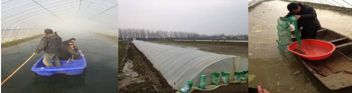 小龙虾最新现状,小龙虾的发展情况