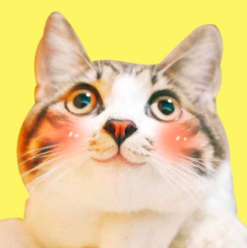 好物节福利,好东西优惠大促