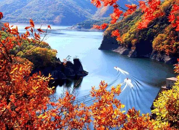 沈阳最美赏枫地最新开放,沈阳附近赏枫