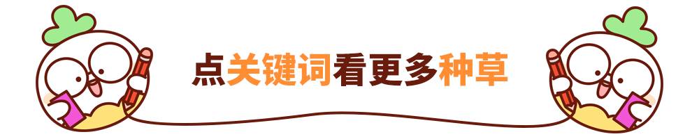 平价又好用的全套彩妆推荐,省钱又好用的平价彩妆推荐