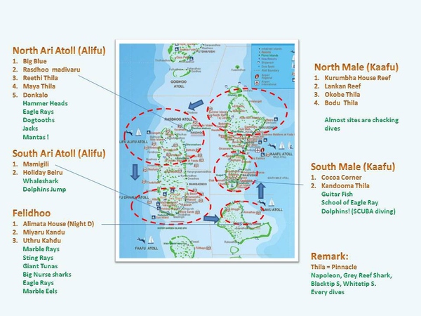 从入门级到朝圣级，职业潜水教练告诉你船宿该怎么选