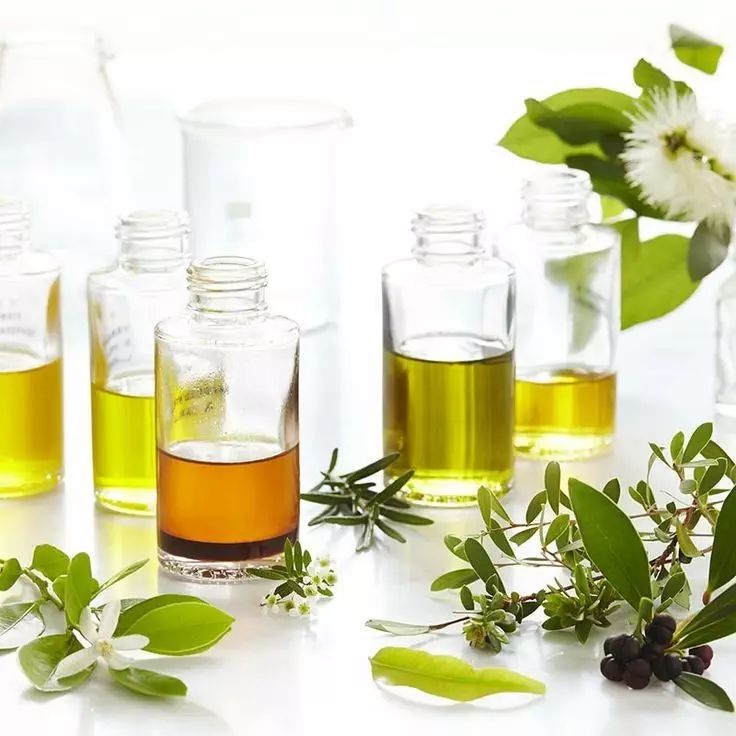 天然环保健康洗护用品,澳洲清洁好物推荐平价