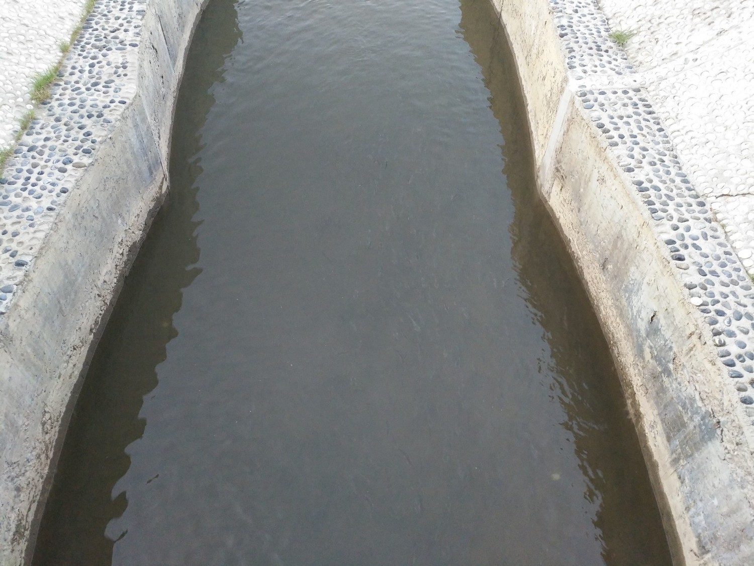 青海湟鱼家园,青海的湟鱼家园