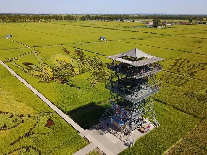 沈阳稻梦空间玉米,沈阳有稻梦空间吗