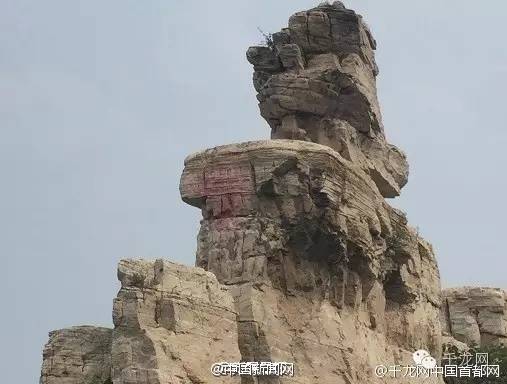 陈志成照片,陈志成现身道歉