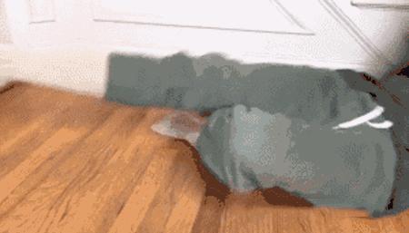 穿巴黎世家的袜子,穿巴黎世家鞋配什么衣服好看